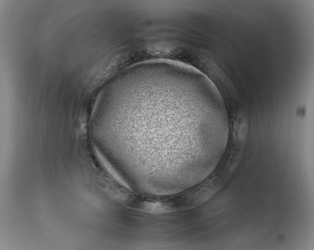 X0000112790561200909111215