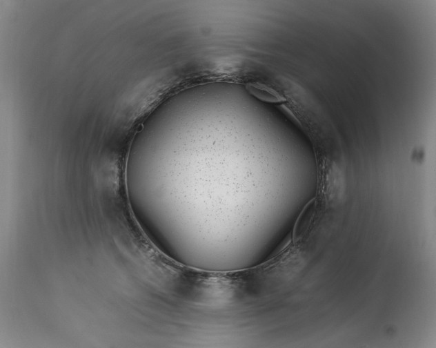 X0000112790562200909111215