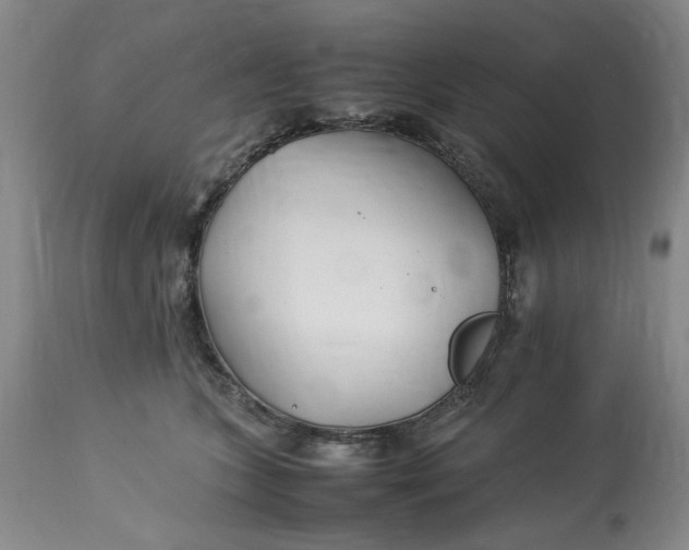 X0000112790563200909111215