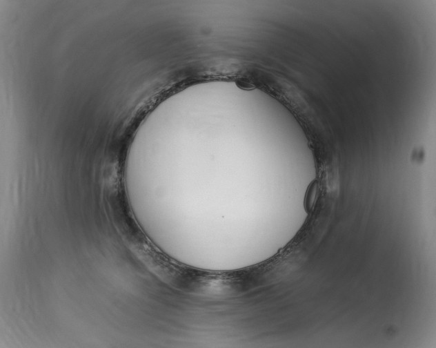 X0000112790564200909111215