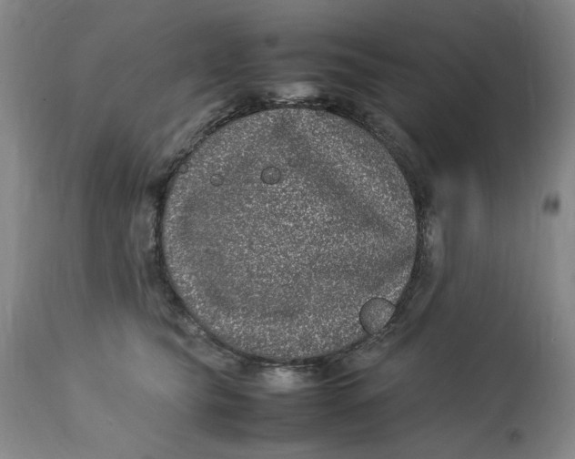 X0000112790565200909111215