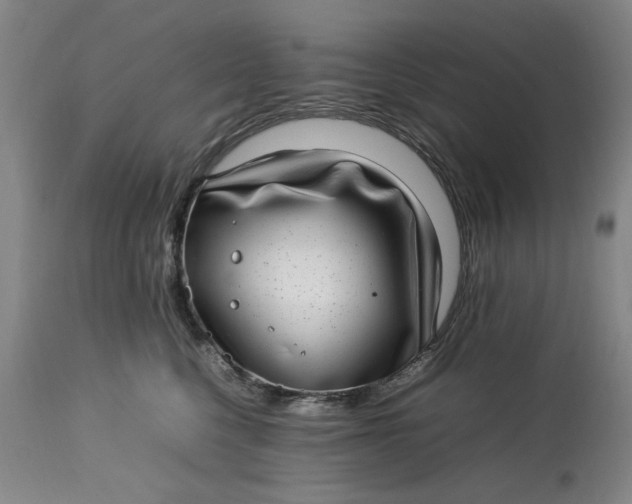 X0000112790568200909111215