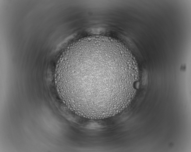 X0000112790569200909111215