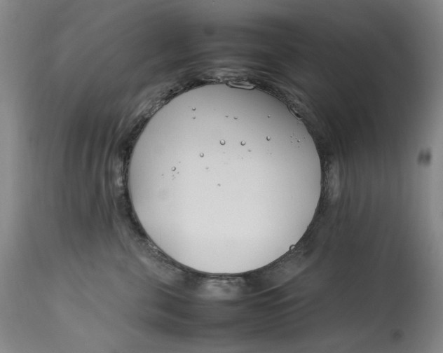 X0000112790571200909111215