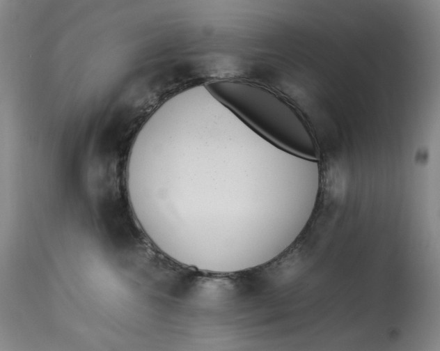 X0000112790572200909111215