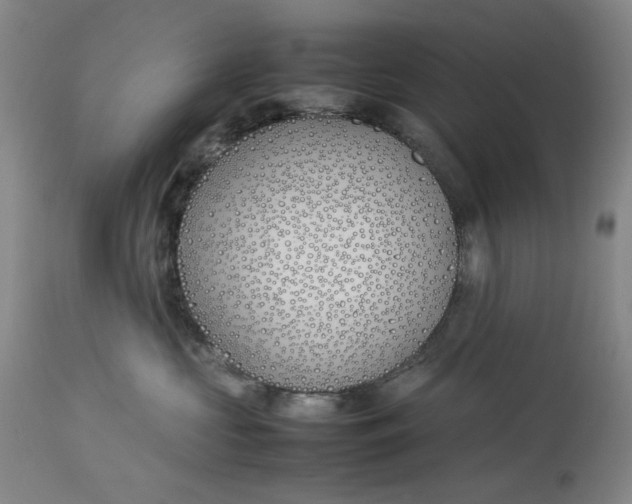 X0000112790573200909111215