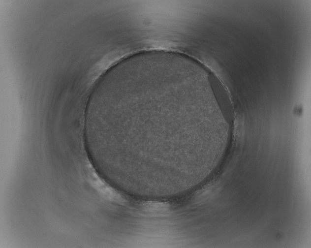 X0000112790577200909111214