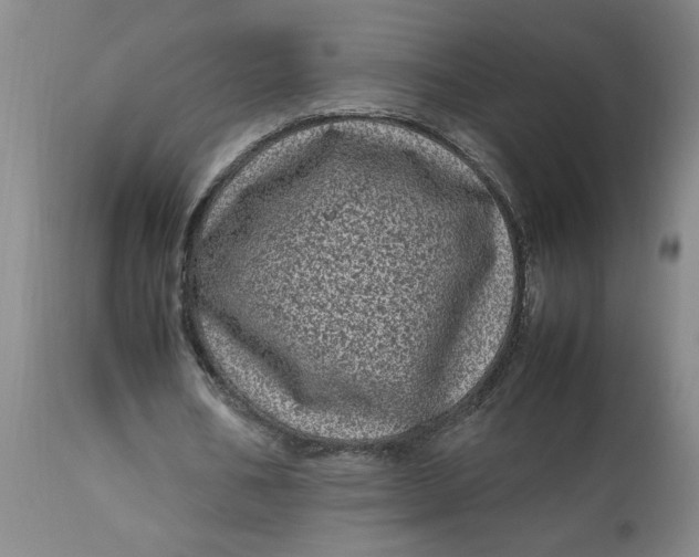 X0000112790578200909111214