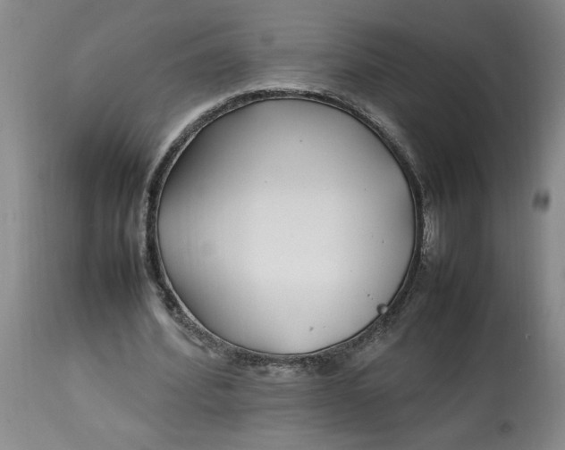 X0000112790580200909111214