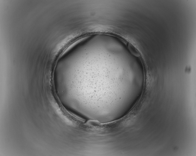 X0000112790581200909111214