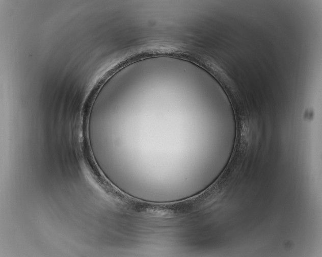 X0000112790582200909111214