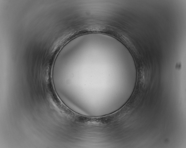 X0000112790586200909111214