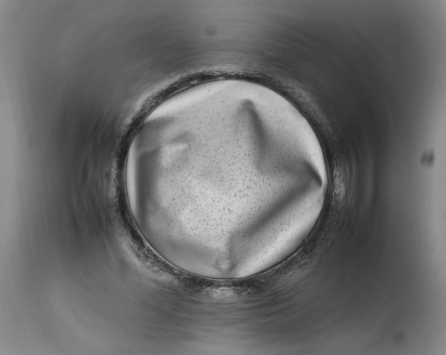 X0000112790588200909111214