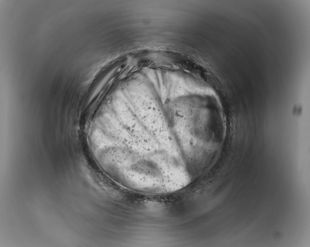 X0000112790592200909111214