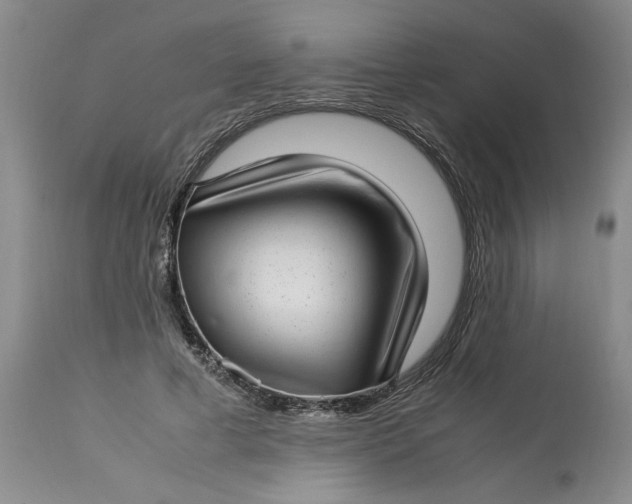 X0000112790593200909111214