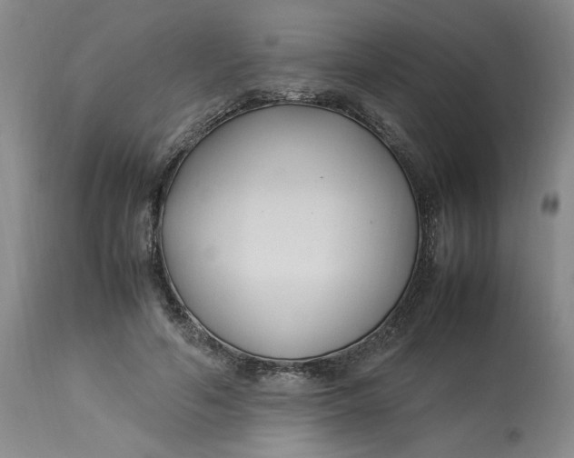 X0000112790594200909111214