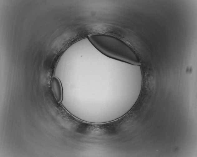 X0000112790597200909111214