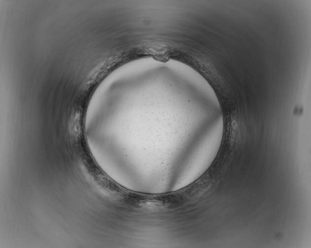 X0000112790598200909111214