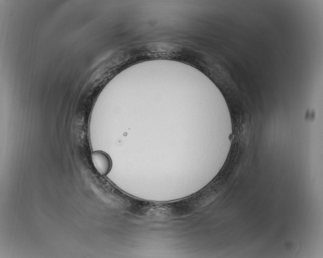 X0000112790599200909111214