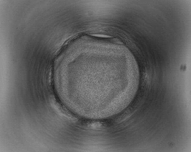 X0000112790600200909111213