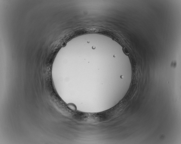 X0000112790601200909111213