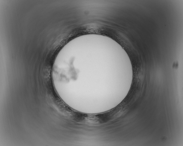 X0000112790603200909111213