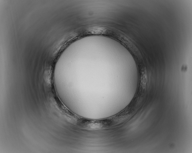 X0000112790604200909111213