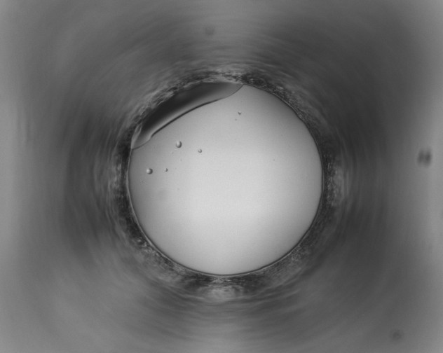 X0000112790608200909111213