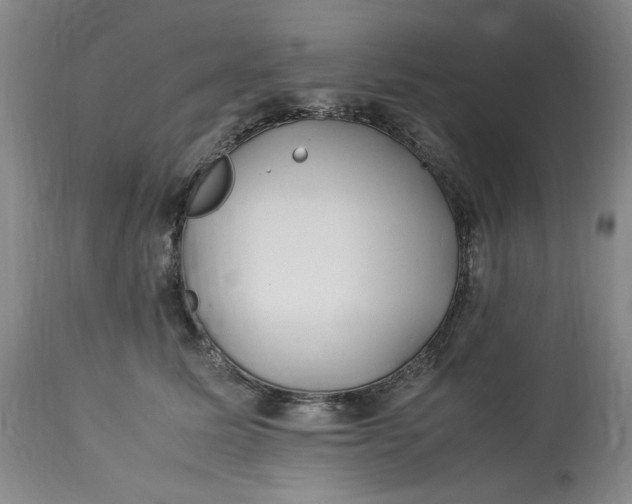 X0000112790611200909111213