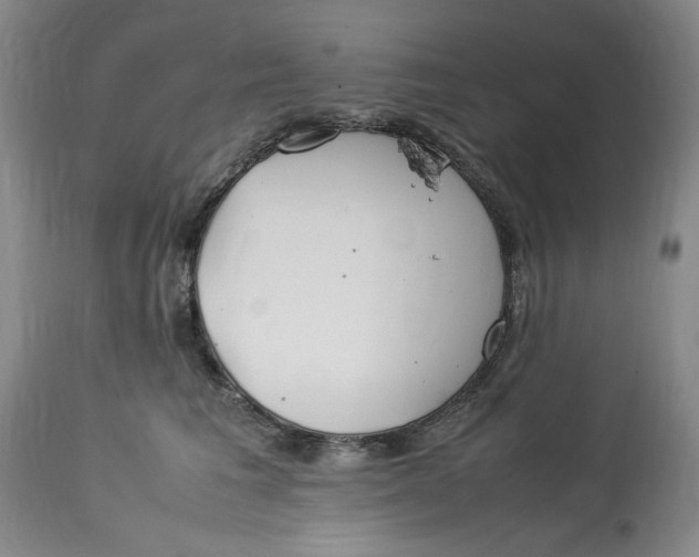 X0000112790613200909111213