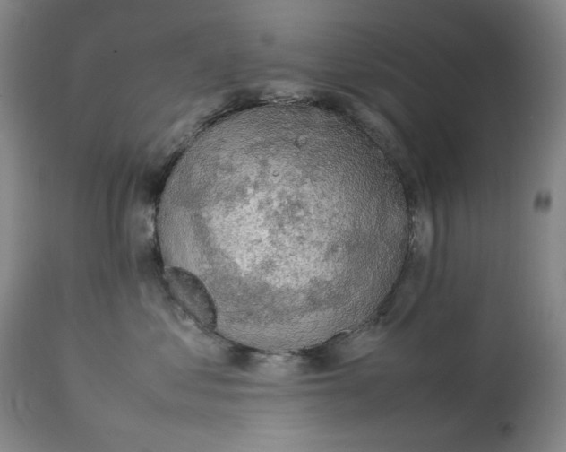 X0000112790621200909111213