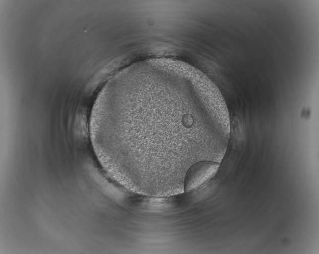 X0000112790622200909111213