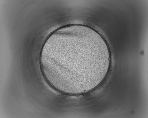 X0000112790625200909111212