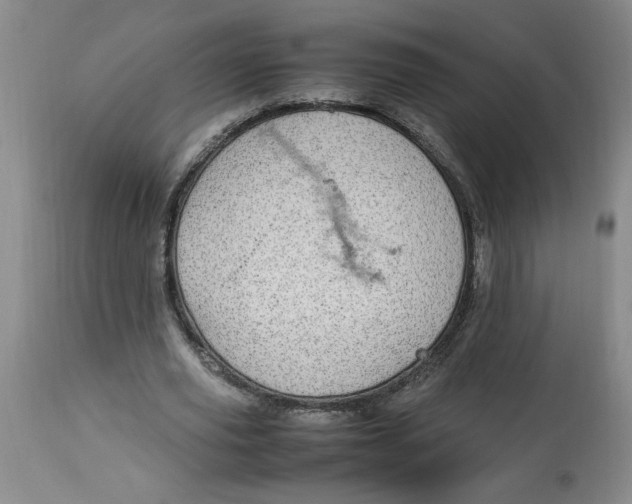 X0000112790629200909111212