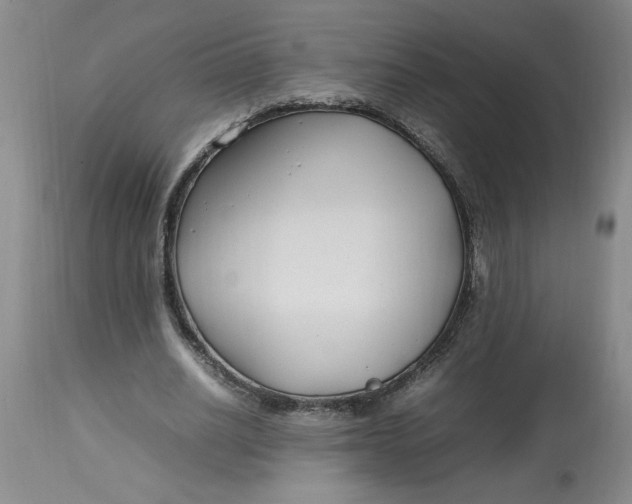 X0000112790630200909111212