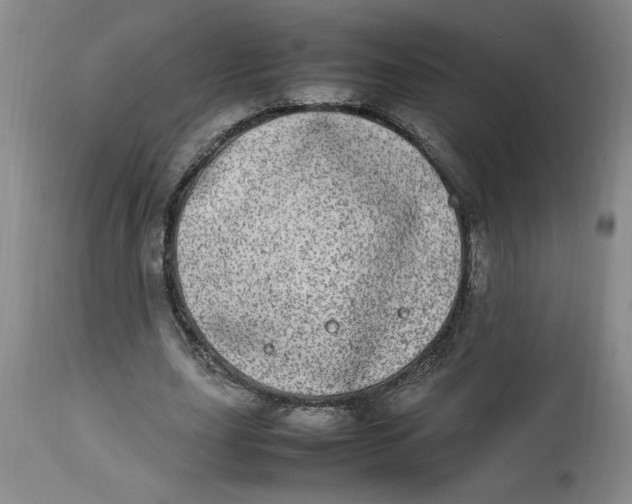 X0000112790631200909111212