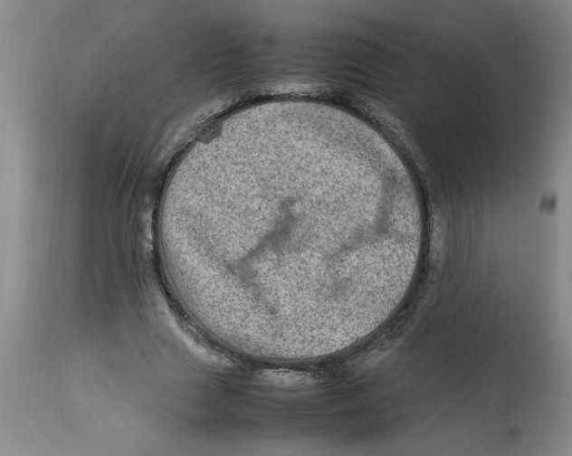 X0000112790633200909111212