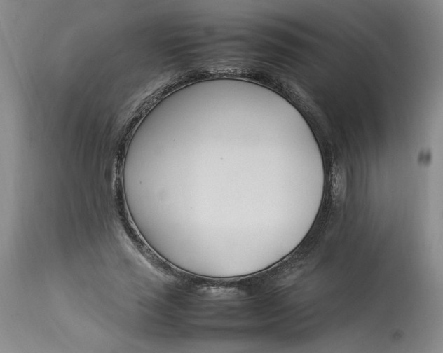 X0000112790637200909111212