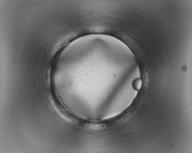 X0000112790638200909111212