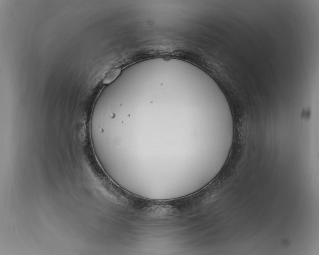 X0000112790642200909111212