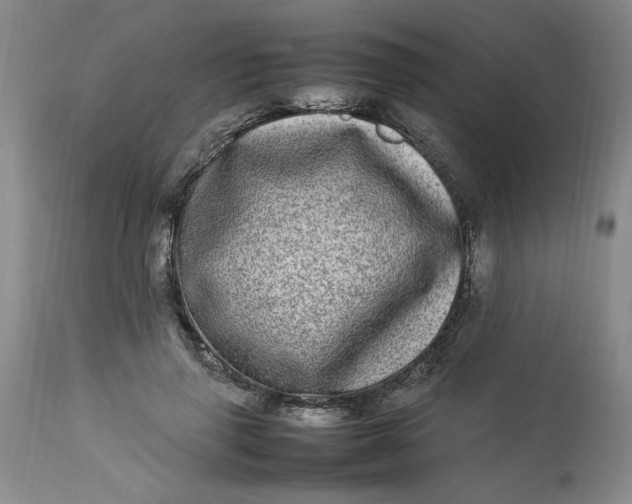 X0000112790645200909111213