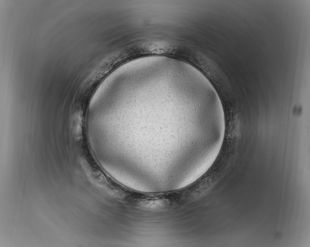 X0000112790646200909111213