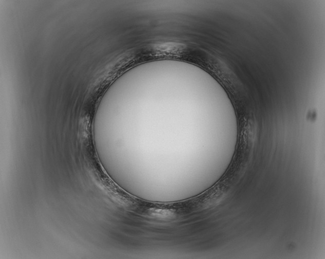 X0000112790649200909111213