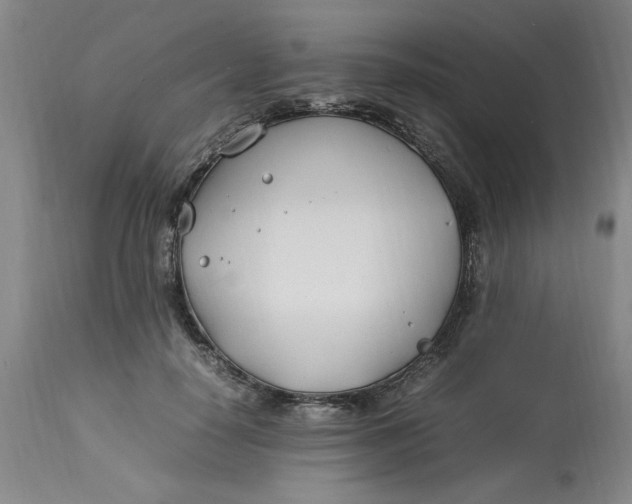 X0000112790650200909111213