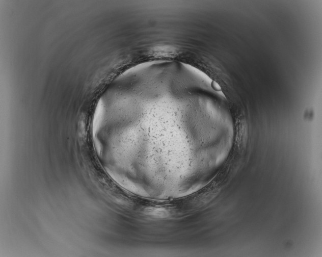 X0000112790655200909111213