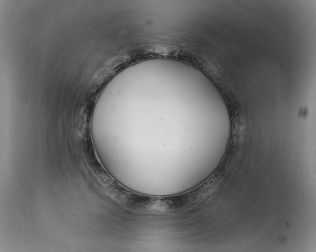 X0000112790656200909111213