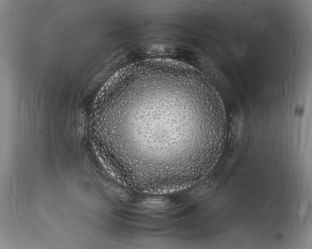 X0000112790659200909111213