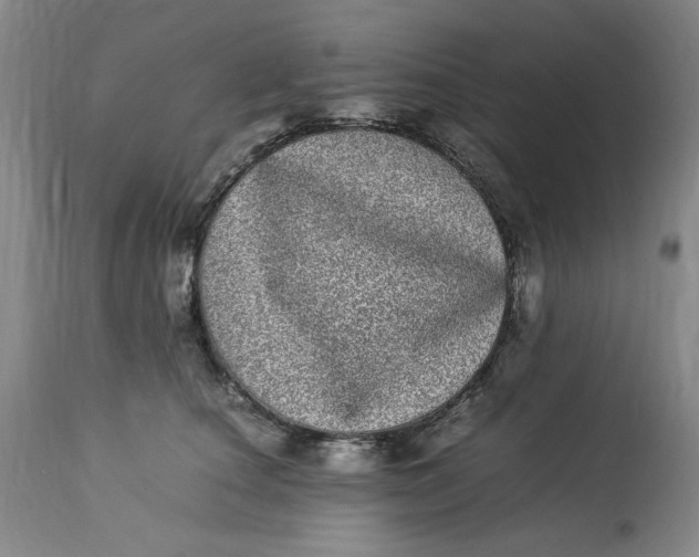 X0000112790660200909111213