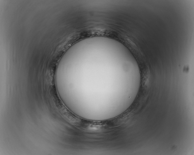 X0000112790661200909111213