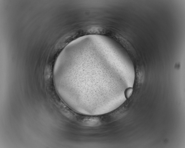 X0000112790665200909111213